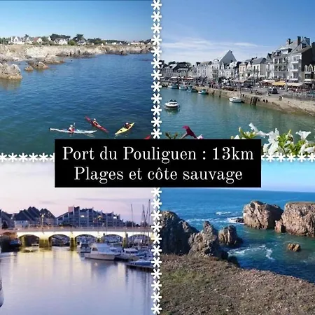 D'hotes Salle D'eau Et Wc Prives, Veranda,exterieurs Et Piscine Chauffee Bed & Breakfast 3*